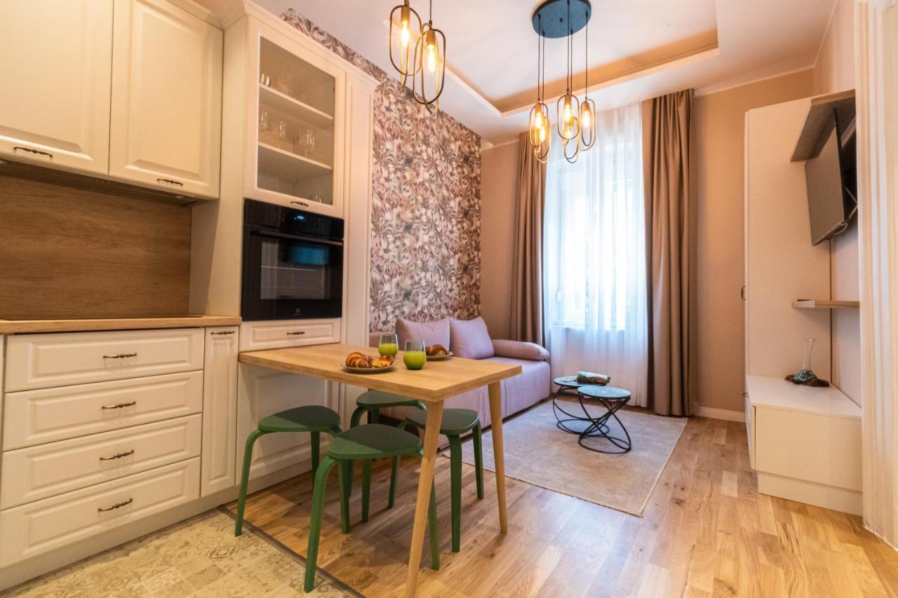 Black Gate - Quiet Studio In The Heart Of Old Town With Free Private Secured Parking Brasov Ngoại thất bức ảnh