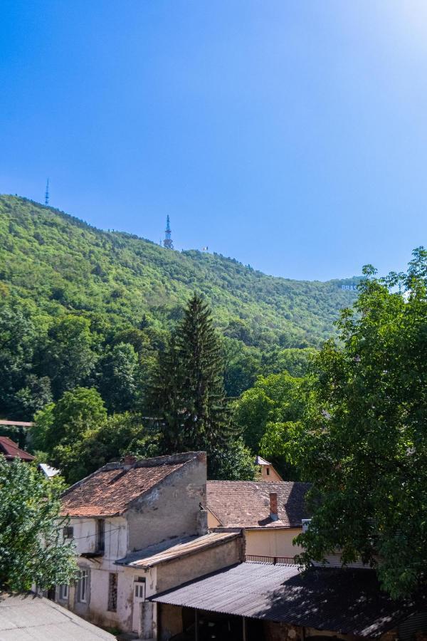 Black Gate - Quiet Studio In The Heart Of Old Town With Free Private Secured Parking Brasov Ngoại thất bức ảnh