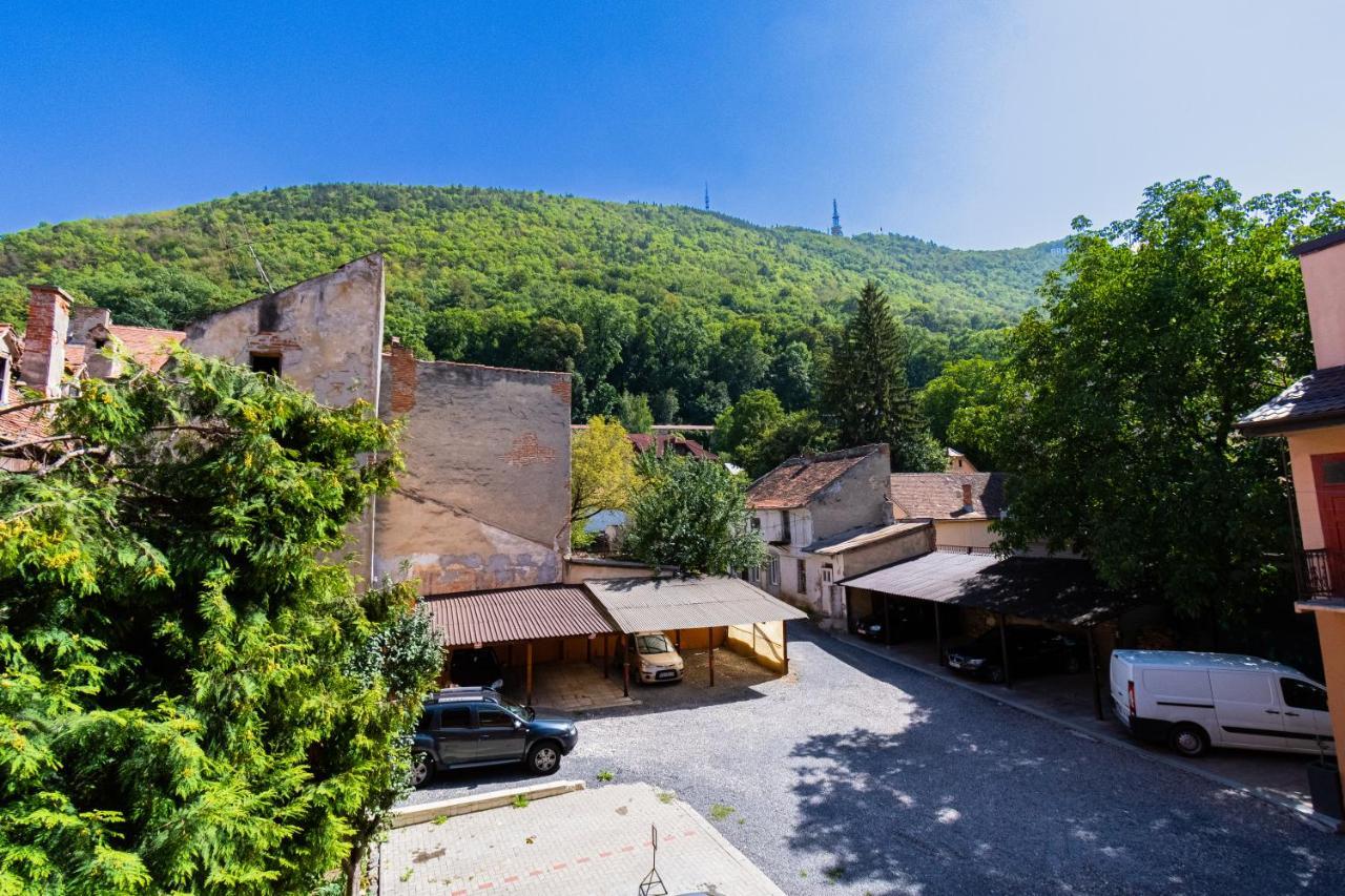 Black Gate - Quiet Studio In The Heart Of Old Town With Free Private Secured Parking Brasov Ngoại thất bức ảnh